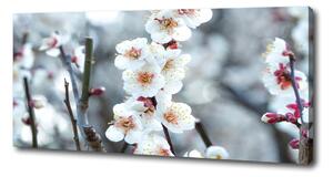 Pictură pe pânză flori de cireș