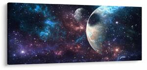 Tablou cu cosmos (120x50 cm)