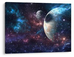 Tablou cu cosmos (70x50 cm)