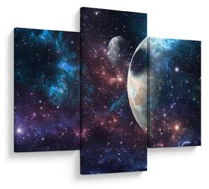 Tablou cu cosmos (90x60 cm)