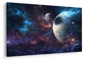 Tablou cu cosmos (90x60 cm)