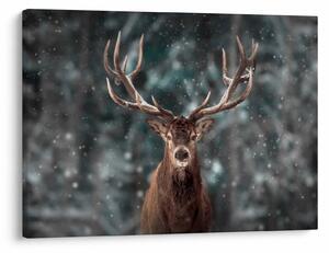 Tablou - Cerbul majestic (70x50 cm)