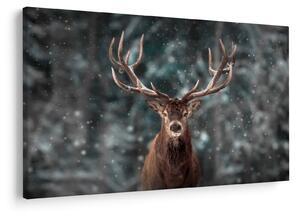 Tablou - Cerbul majestic (90x60 cm)