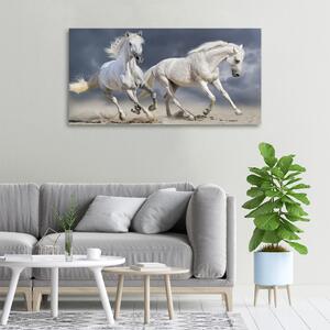 Tablou canvas White Beach Horse
