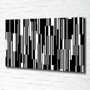 Tablou pe pânză canvas linii negre și albe