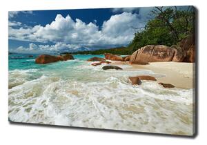 Tablou pe pânză plaja Seychelles