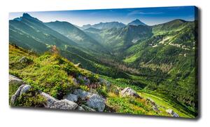 Tablou pe pânză Zori în munții Tatra