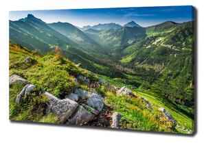 Tablou pe pânză Zori în munții Tatra