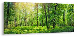 Tablou - Pădurea cu frunze de primăvară (120x50 cm)