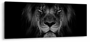 Tablou - Leu majestic (120x50 cm)