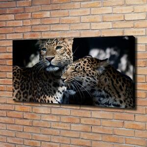 Imprimare tablou canvas doi leoparzi