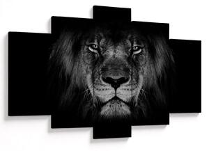 Tablou - Leu majestic (150x105 cm)