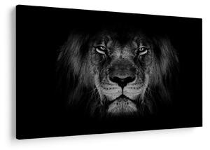 Tablou - Leu majestic (90x60 cm)