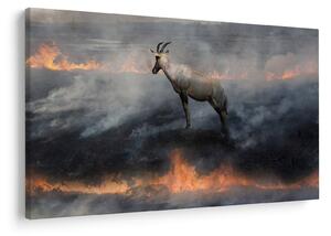 Tablou cu capră de munte în foc (90x60 cm)
