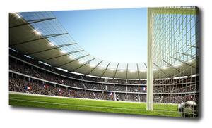 Tablou canvas Franța stadion