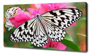 Tablou pe pânză canvas Fluture pe o floare