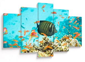 Tablou lumii submarine (150x105 cm)