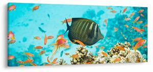 Tablou lumii submarine (120x50 cm)
