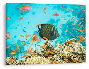 Tablou lumii submarine (70x50 cm)