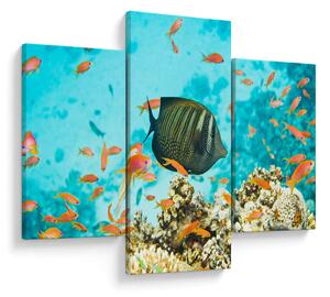 Tablou lumii submarine (90x60 cm)