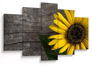Tablou - Floare de floarea soarelui (150x105 cm)