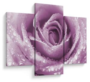 Tablou detaliu de floare de trandafir (90x60 cm)