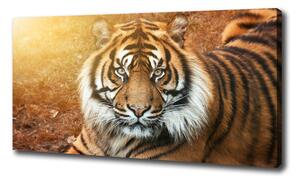 Print pe canvas tigru bengalez