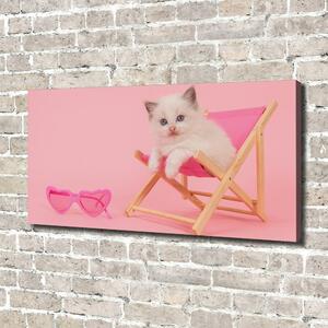Tablou canvas Cat pe un șezlong