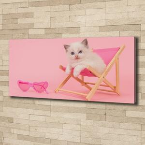 Tablou canvas Cat pe un șezlong