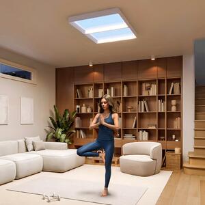 Philips Plafonieră LED SKYLIGHT, 65 x 45 cm, albă, CCT IP44, reglabil, Alb, Camera de zi / sufragerie, Plastic, Modern