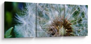 Tabloul cu păpădie desflorit (cu ceas) (90x30 cm)