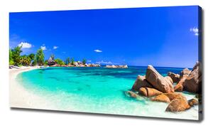 Pictură pe pânză plaja Seychelles