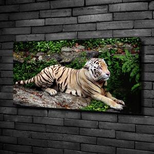 Pictură pe pânză Tiger pe stâncă