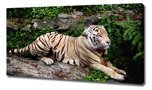 Pictură pe pânză Tiger pe stâncă