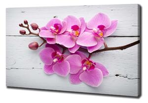 Pictură pe pânză Orhideea pe lemn