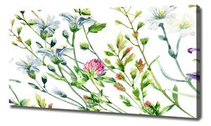 Imprimare tablou canvas flori de câmp