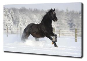 Print pe pânză Un cal în galop de zăpadă