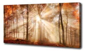 Print pe canvas Ceață în toamna anului pădure