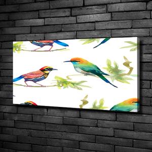 Tablou canvas păsări exotice