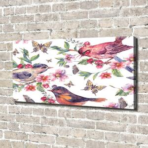 Tablou pe pânză canvas Păsări fluturi cireșe