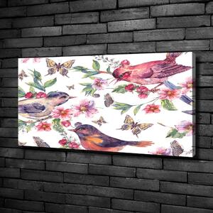 Tablou pe pânză canvas Păsări fluturi cireșe