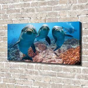 Imprimare tablou canvas delfini