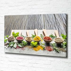 Print pe canvas condimente colorate