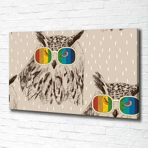 Tablouri tipărite pe pânză Owls ochelari