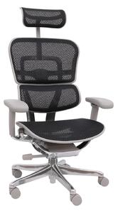 Scaun de birou Ergohuman 2 Elite GS Black
