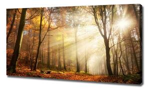 Tablou canvas Ceață în pădure