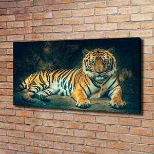 Print pe canvas Tiger Cave