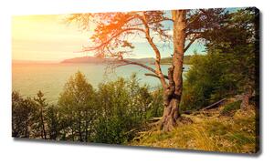 Tablou canvas lac Scandinavia