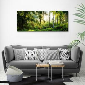 Imprimare tablou canvas Pădurea de dimineață la soare