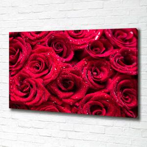 Imprimare tablou canvas Picaturi pe trandafiri